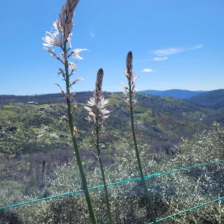 La Muralla Lejlighed *