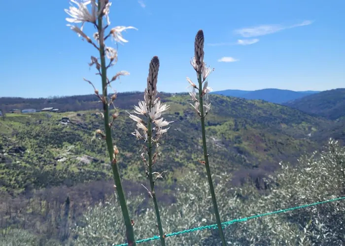 La Muralla 아파트 *